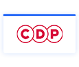 CDP集团